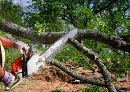 Best Lawn Irrigation Installation and Maintenance  in Dyer, TN